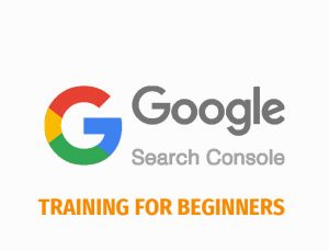 Google Search Console Training for Beginners